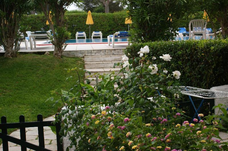Hamilton Court Aparthotel Santo Tomas Exterior photo